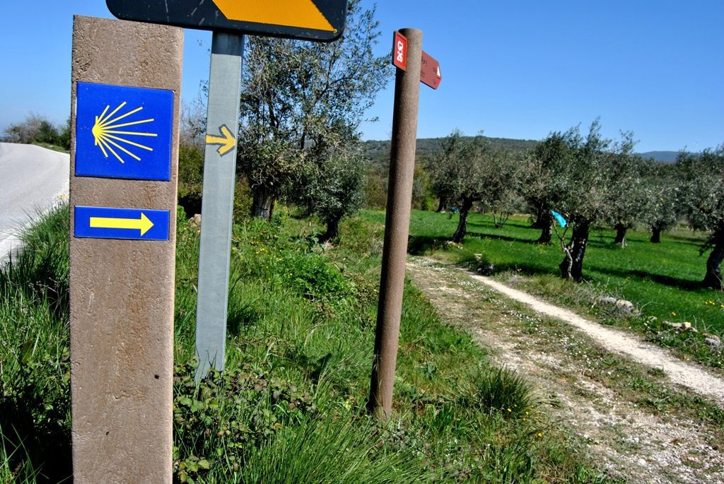 Turismo Centro de Portugal aplaude Decreto-Lei que regula a promoção do Caminho Português de Santiago