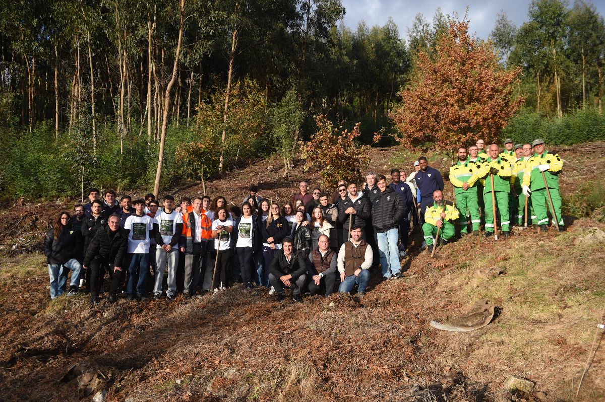 CIM Viseu Dão Lafões mobilizou comunidade e parceiros nacionais em ação de reflorestação de grande escala