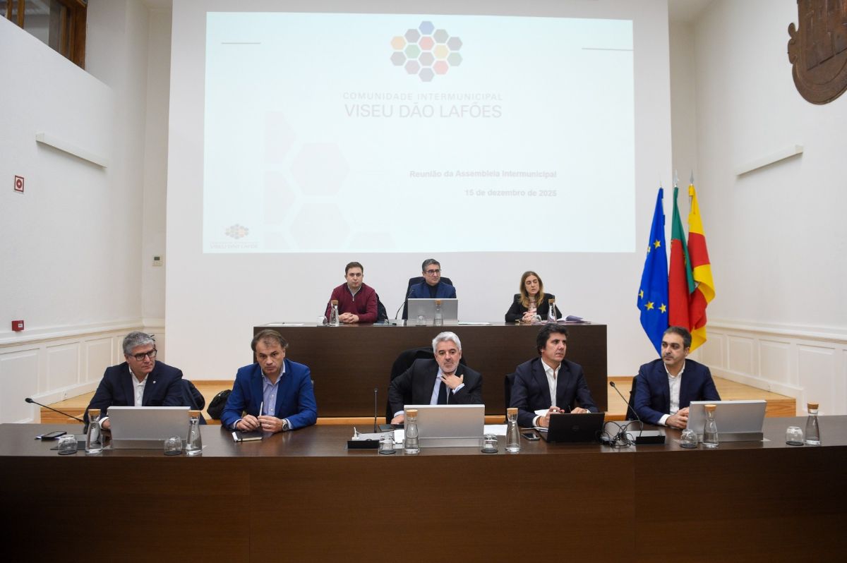 CIM Viseu Dão Lafões reelege Nuno Martinho como Primeiro Secretário Executivo Intermunicipal e aprova Orçamento e Plano de Atividades para 2026